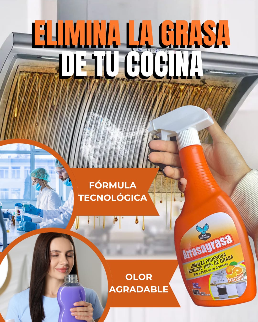 Arrasadora de Grasas: 650 ML UNA LIMPIEZA PODEROSA